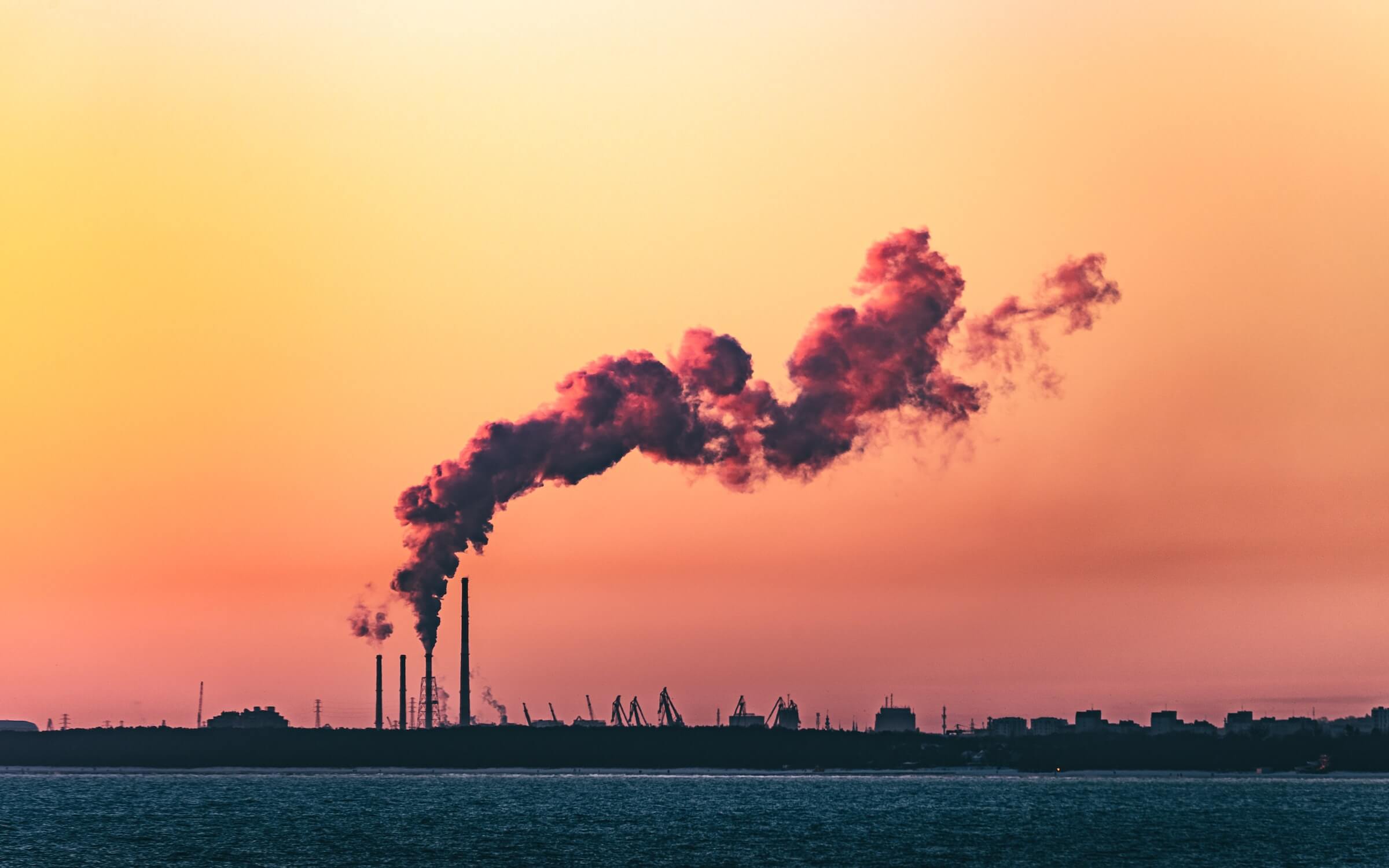 How Does Air Pollution Affect the Environment? | Air Quality Tracker Airly